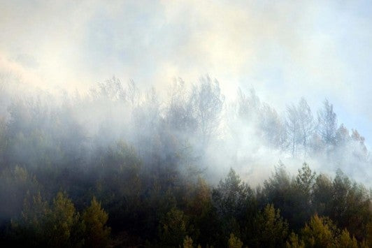 Φωτιά τώρα κοντά στο Καλέντζι Αχαΐας